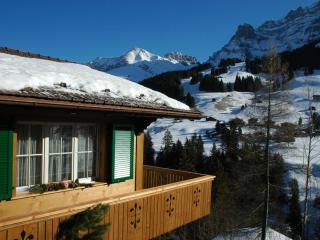 Apartment Bärgchutzli 1- Stock by Interhome - Adelboden - 9