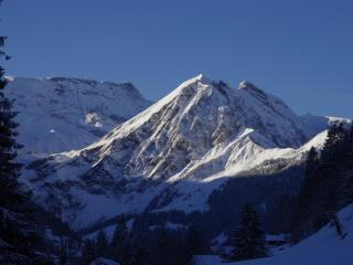 Apartment Anno Domini by Interhome - Adelboden - 6