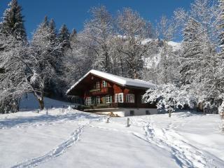 Apartment Chalet Maru by Interhome - Lenk im Simmental - 2