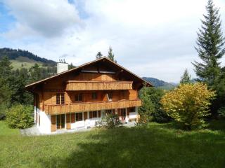 Apartment Zapfe - Moore by Interhome - Saanenmöser - 9