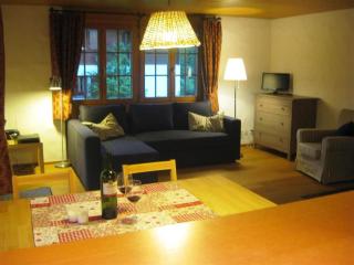Apartment Zapfe - Moore by Interhome - Saanenmöser - 2