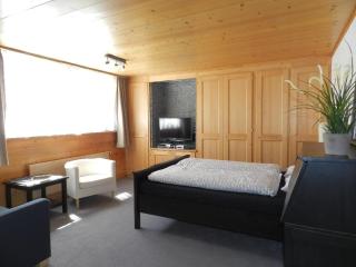 Apartment Bijou Arnensee by Interhome - Gsteig - 3