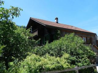 Apartment Im Wiesengrund by Interhome - Gstaad - 9
