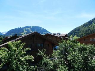 Apartment Im Wiesengrund by Interhome - Gstaad - 6