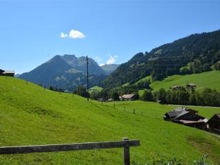 Apartment Arduus by Interhome - Gstaad - 7