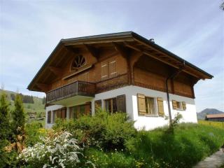 Apartment Grüenbüelti by Interhome - Gstaad - 9