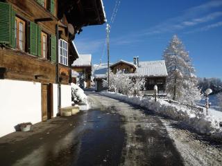 Apartment Adlemsried by Interhome - Boltigen - 8