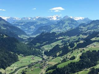 Apartment Adlemsried by Interhome - Boltigen - 2