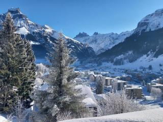 Apartment Aurora by Interhome - Engelberg - 6