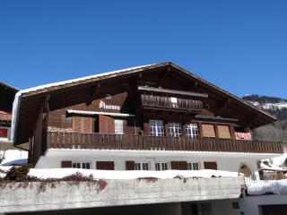 Apartment Aurora by Interhome - Engelberg - 5