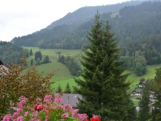 Apartment Spillgerten-Blick by Interhome - Zweisimmen - 4