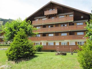 Apartment Monique Nr- 14 by Interhome - Gstaad - 9