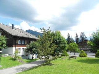 Apartment Monique Nr- 14 by Interhome - Gstaad - 4