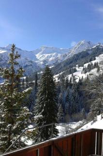 Apartment Adlerhorst by Interhome - Adelboden - 7