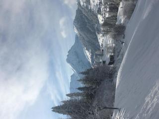 Apartment Shalom by Interhome - 4