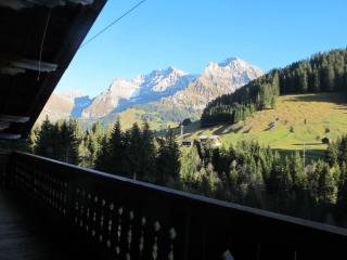 Apartment Gilbachhöckli 2 by Interhome - Adelboden - 8