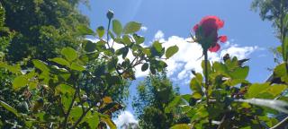 Delta Garden I - Bariloche - 7
