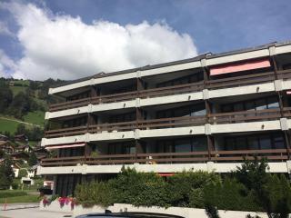 Apartment Neuschwändi 5 by Interhome - Engelberg - 0