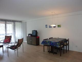 Apartment Neuschwändi 5 by Interhome - 6
