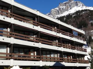 Apartment Neuschwändi 5 by Interhome - Engelberg - 9