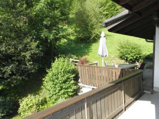 Apartment Goldrose by Interhome - Zweisimmen - 4