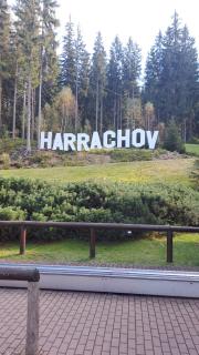 Apartman Harrachov - Resident - Harrachov - 8