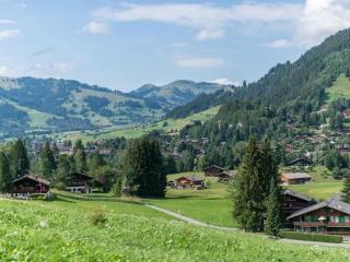 Apartment Les Silenes by Interhome - Gstaad - 9