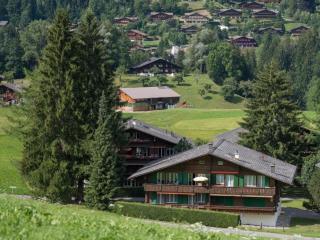 Apartment Les Silenes by Interhome - Gstaad - 0