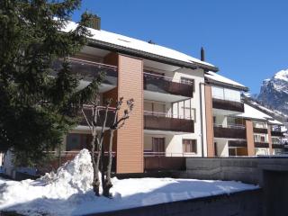 Apartment Blumenweg 6 by Interhome - Engelberg - 9