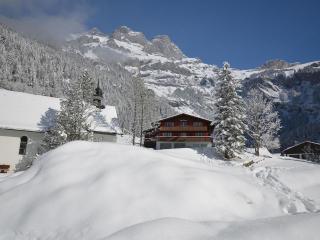 Apartment Chalet Heureka-Horbis by Interhome - Engelberg - 9