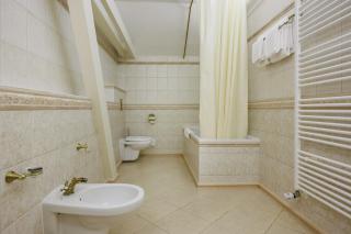 Hotel Château Cihelny - Karlsbad - 6