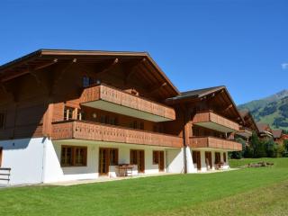 Apartment Jacqueline 24 by Interhome - Gstaad - 9