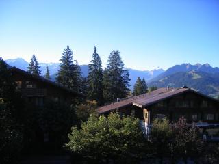 Apartment Arlette Nr- 30 by Interhome - Gstaad - 8