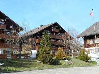 Apartment Suzanne Nr- 20 by Interhome - Gstaad - 9