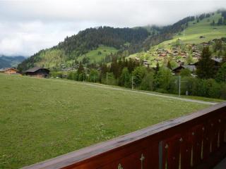 Apartment Mireille Nr- 8 by Interhome - Gstaad - 7