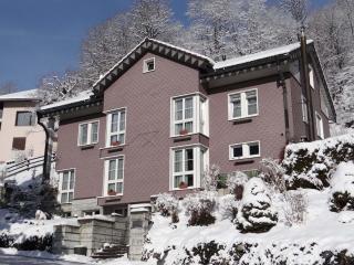 Apartment Barmettlenstrasse 26 by Interhome - Engelberg - 9