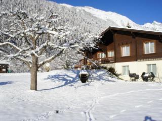 Apartment Sweda by Interhome - Fieschertal - 6
