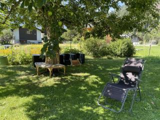 Apartment Sweda by Interhome - Fieschertal - 9