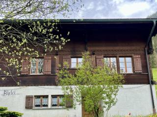 Apartment Akelei - gross by Interhome - Zweisimmen - 8