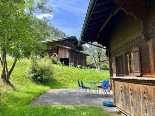 Apartment Akelei - gross by Interhome - Zweisimmen - 5