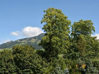 Apartment Abendrot by Interhome - Gstaad - 5