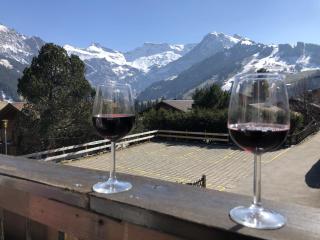 Apartment Sunnegruess by Interhome - Adelboden - 9