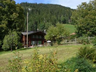 Apartment Bolzli-Hus by Interhome - Blankenburg - 4