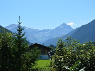Apartment La Sarine 124 by Interhome - Gstaad - 3