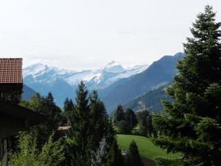Apartment Les Hivernants - 1- Stock rechts by Interhome - Gstaad - 3