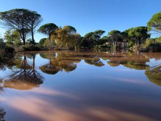 Refuge au cœur des vignes - Vidauban - 5