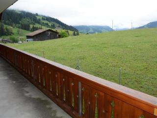 Apartment Mireille Nr- 4 by Interhome - Gstaad - 7
