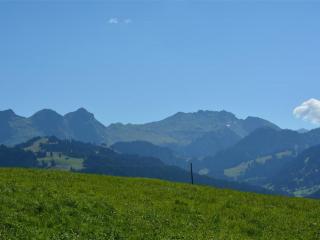 Apartment Mireille Nr- 4 by Interhome - Gstaad - 6