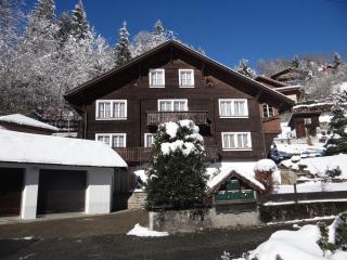 Apartment Steinacher 7 by Interhome - Engelberg - 7