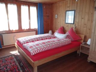 Apartment Steinacher 7 by Interhome - Engelberg - 1